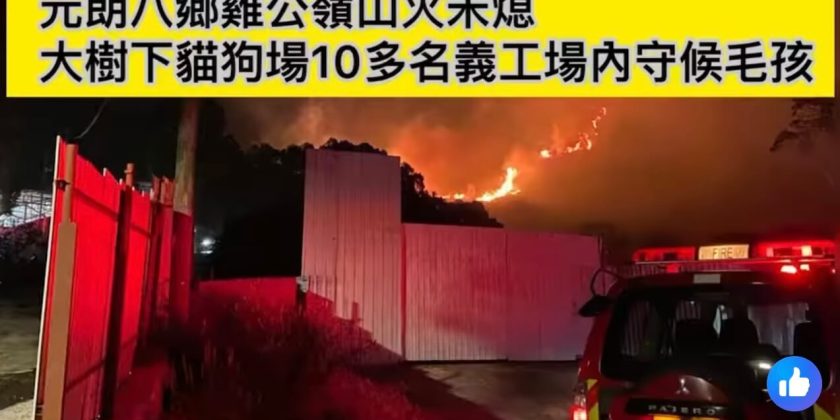 Wildfire vs AXIS Q8752-E –  Insights from the Kai Kung Leng Blaze