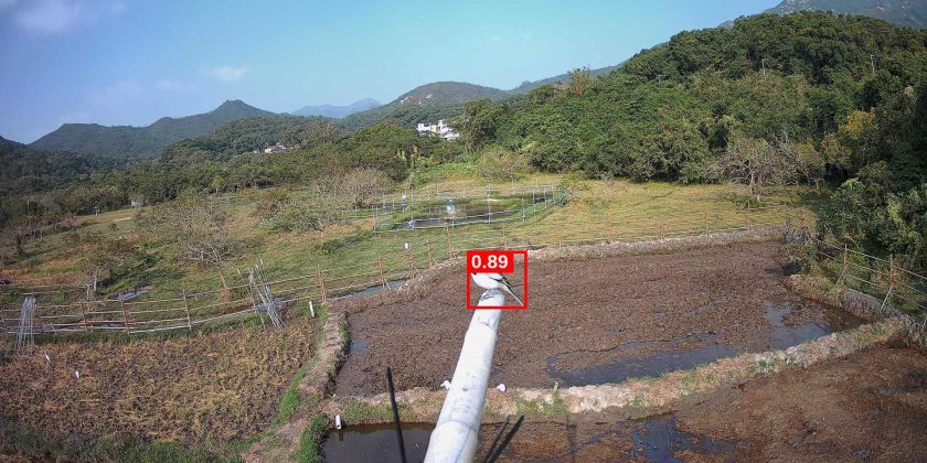 AI-Powered Nature-based Solutions: Enhancing Biodiversity and Regenerative Farming